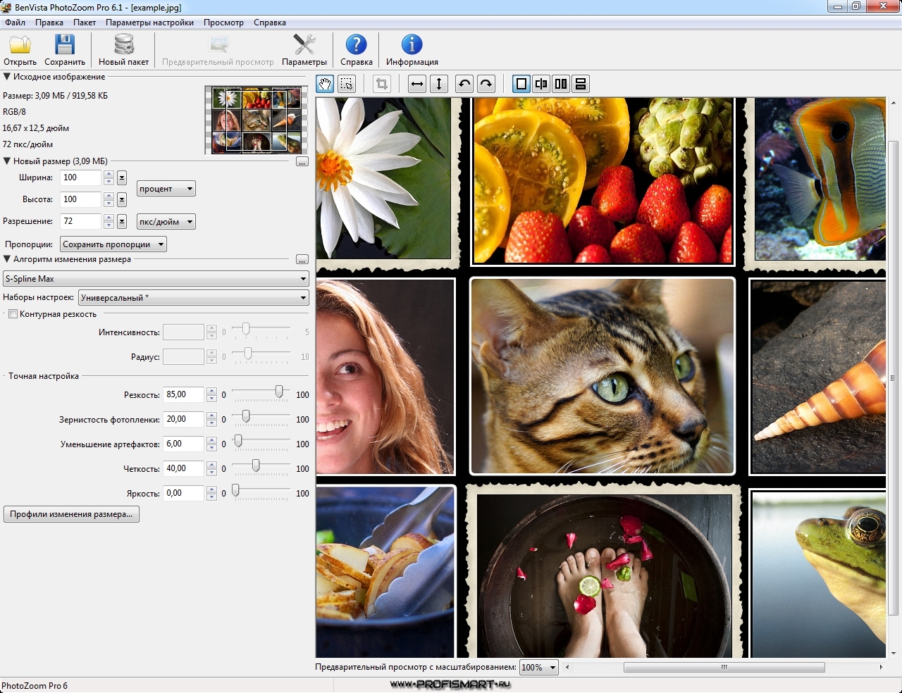 Программа для увеличения. PHOTOZOOM Pro. Benvista PHOTOZOOM Pro. Benvista PHOTOZOOM Pro 8.0.6. Программа для увеличения изображения.