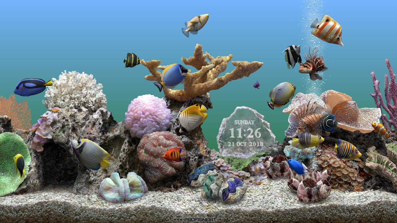 Заставка аквариум с рыбками